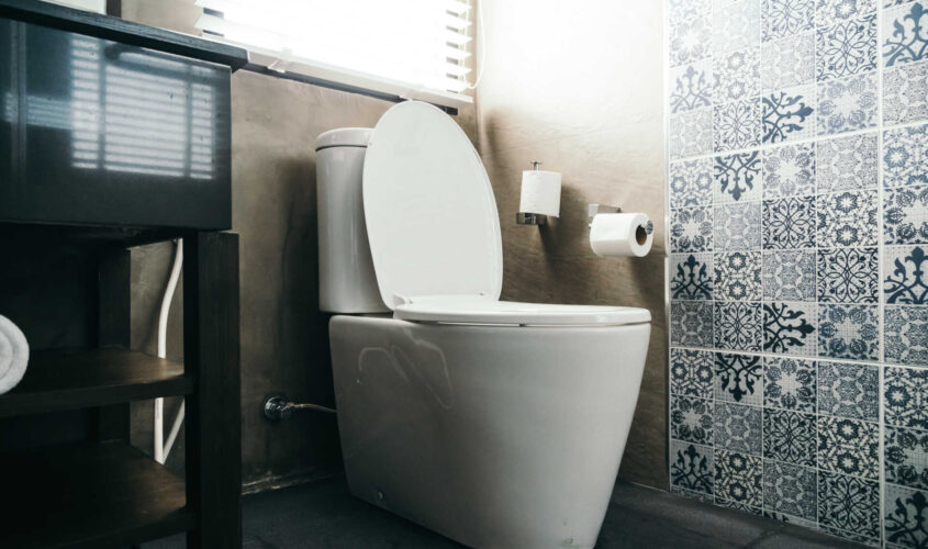 White toilet bowl seat