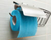 toilet paper holder