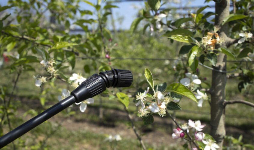 Pesticides treatment of agricultural plants.