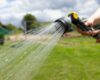 watering the lawn on a hot day with a garden hose with a sprayer