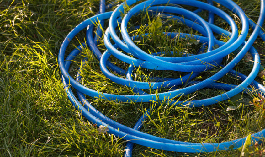 Watering hose lies on the grass, ground. Blue rubber tube in the