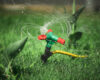 automatic sprinker. lawn grass watering.