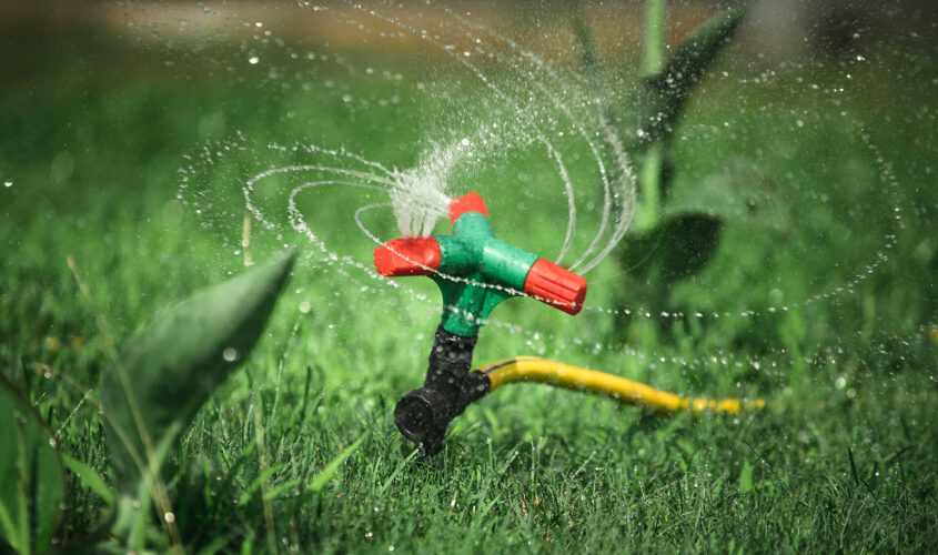 automatic sprinker. lawn grass watering.